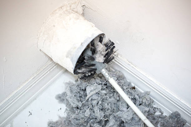 Best Affordable Air Duct Cleaning  in Osprey, FL